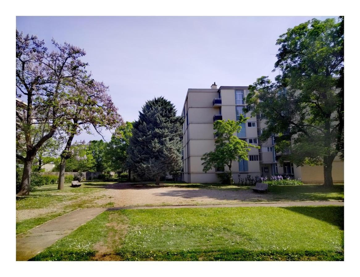 Residence Du Parc Des Tilleuls De Lyon 82 M2 Pkg Free Buitenkant foto
